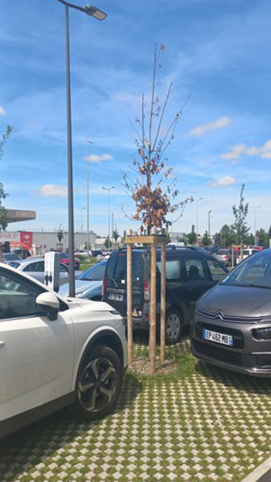 BET VRD Biron, BET VRD Landes, BET VRD Pyrénées, Bureau d’études VRD Biron, Bureau d’études VRD Landes, Bureau d’études VRD Pyrénées, Équipements sportifs Biron, Équipements sportifs Landes, Équipements sportifs Pyrénées, Maitrise d’œuvre VRD Biron, Maitrise d’œuvre VRD Landes, Maitrise d’œuvre VRD Pyrénées, Paysage Biron, Paysage Landes, Paysage Pyrénées, Voirie et réseaux divers Biron, Voirie et réseaux divers Landes, Voirie et réseaux divers Pyrénées